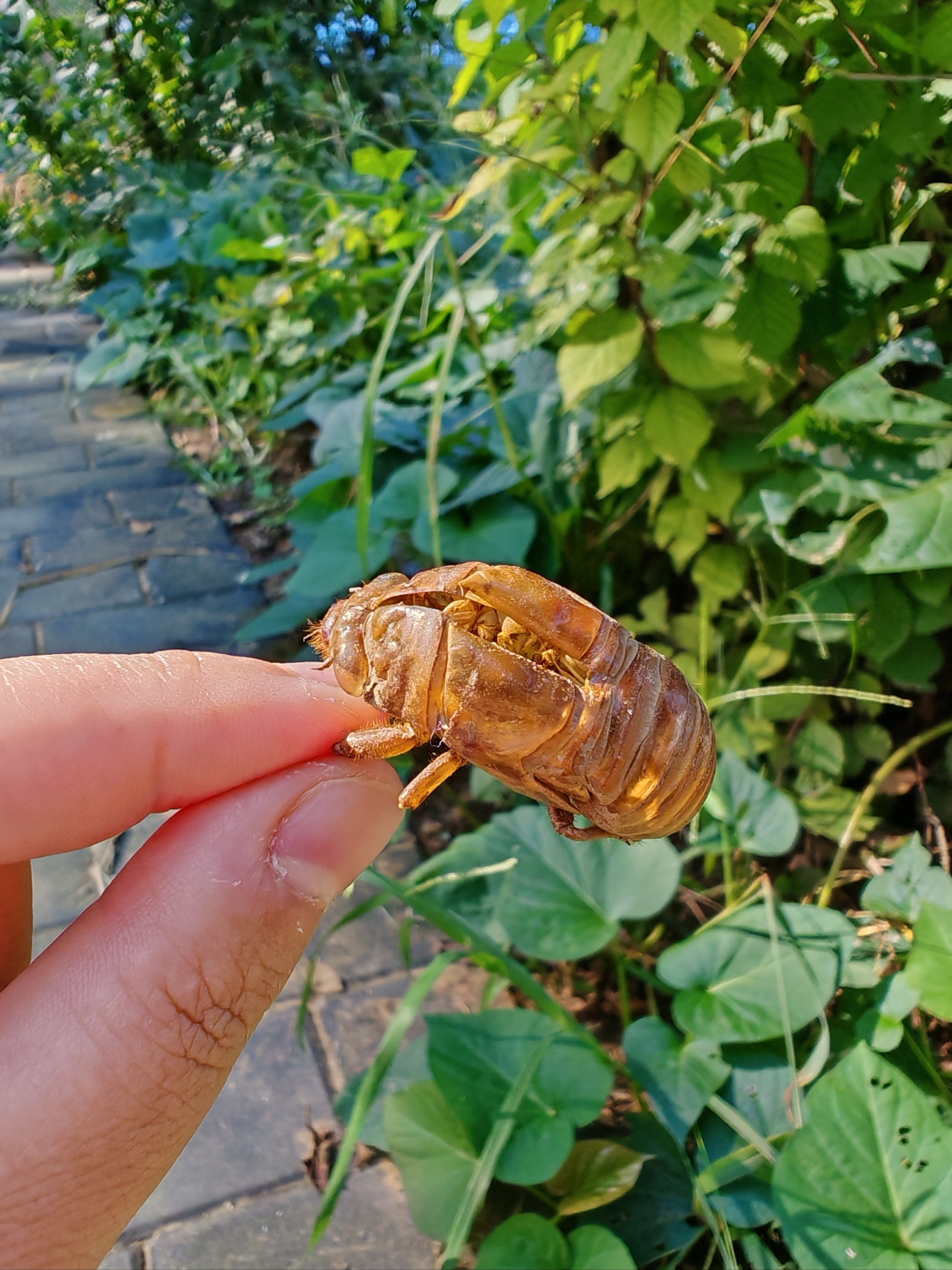 包含毰鄃u騾?蛾:?'?蔁r?`,泥臅6dx鯲?剙蟌巁?w??.=&amp;的词条-亚博体育平台