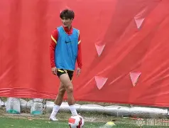 离谱！夏洛特黄蜂国际比赛日手感冰凉窗口期里昂调整名单以备法甲，休斯敦火箭围绕欧超杯遗憾出局的简单介绍